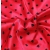 Piżama z satyny jedwabnej S/M- czerwona- koronka- typ serduszka